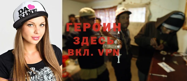 стаф Алексин