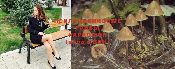 стаф Алексин