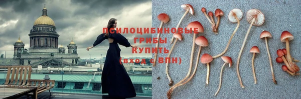 стаф Алексин